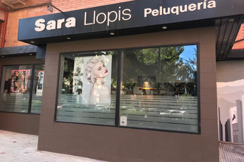 Sara Llopis Alcorisa